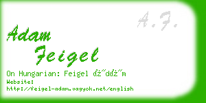 adam feigel business card